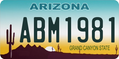 AZ license plate ABM1981