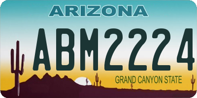 AZ license plate ABM2224
