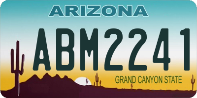 AZ license plate ABM2241