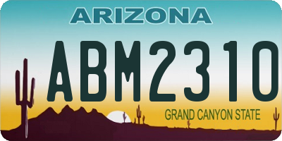 AZ license plate ABM2310