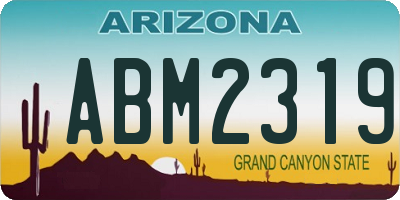 AZ license plate ABM2319