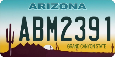 AZ license plate ABM2391