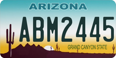 AZ license plate ABM2445