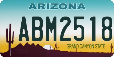 AZ license plate ABM2518
