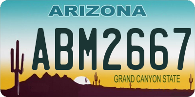 AZ license plate ABM2667
