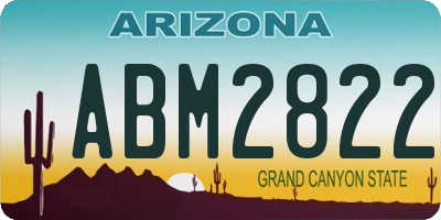 AZ license plate ABM2822