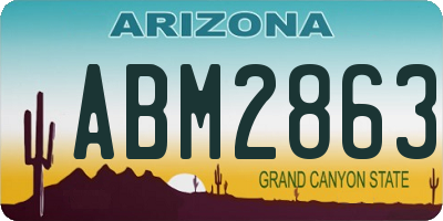 AZ license plate ABM2863