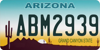 AZ license plate ABM2939
