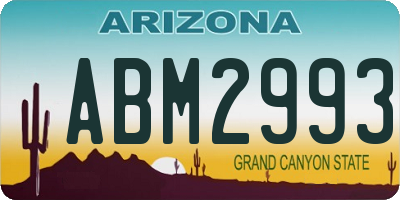 AZ license plate ABM2993