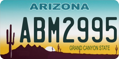 AZ license plate ABM2995