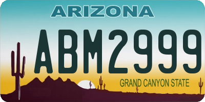 AZ license plate ABM2999