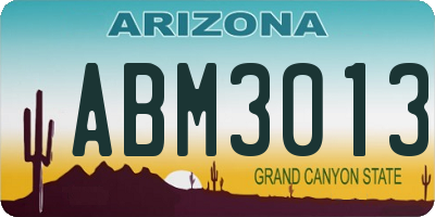 AZ license plate ABM3013