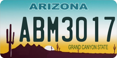 AZ license plate ABM3017