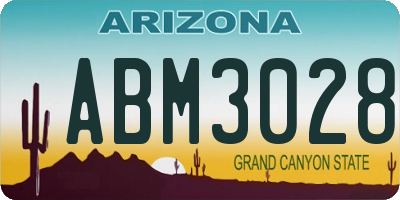 AZ license plate ABM3028