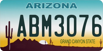 AZ license plate ABM3076