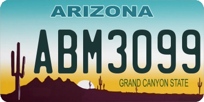 AZ license plate ABM3099