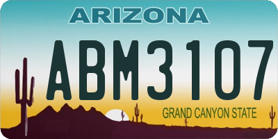 AZ license plate ABM3107
