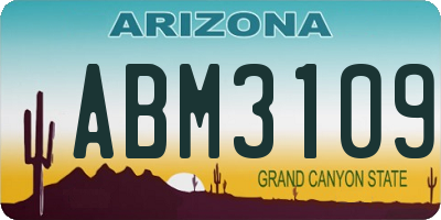 AZ license plate ABM3109