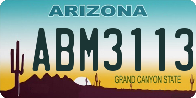 AZ license plate ABM3113