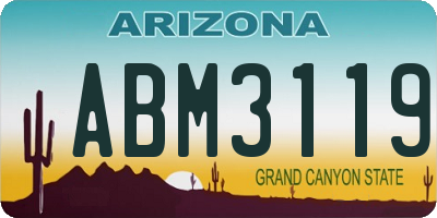 AZ license plate ABM3119