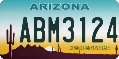 AZ license plate ABM3124