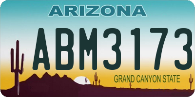 AZ license plate ABM3173
