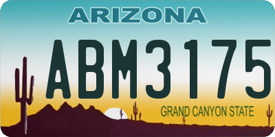 AZ license plate ABM3175