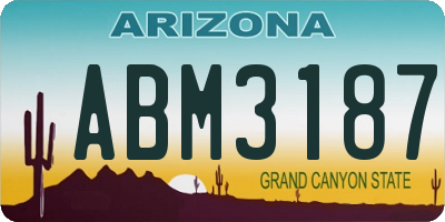 AZ license plate ABM3187