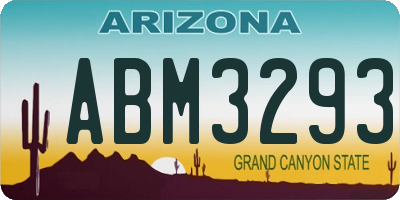 AZ license plate ABM3293