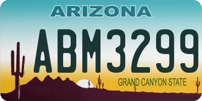 AZ license plate ABM3299