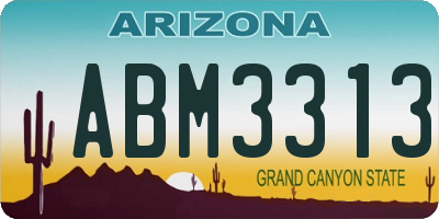 AZ license plate ABM3313