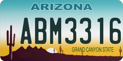 AZ license plate ABM3316