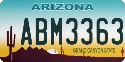 AZ license plate ABM3363