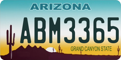 AZ license plate ABM3365