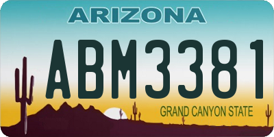 AZ license plate ABM3381