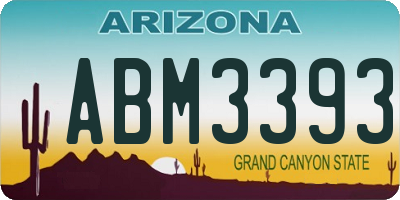 AZ license plate ABM3393