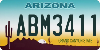 AZ license plate ABM3411