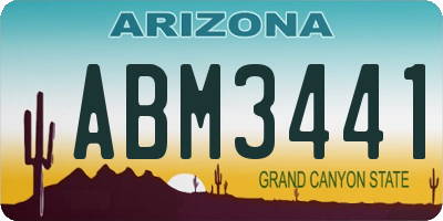 AZ license plate ABM3441