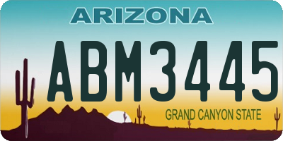 AZ license plate ABM3445