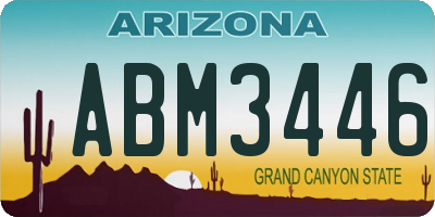 AZ license plate ABM3446
