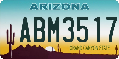 AZ license plate ABM3517