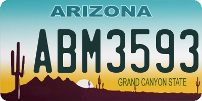 AZ license plate ABM3593