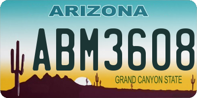 AZ license plate ABM3608