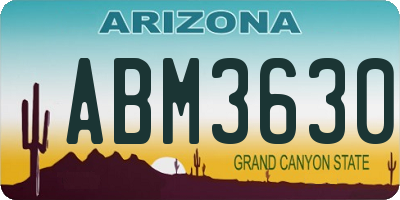 AZ license plate ABM3630