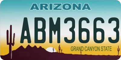 AZ license plate ABM3663