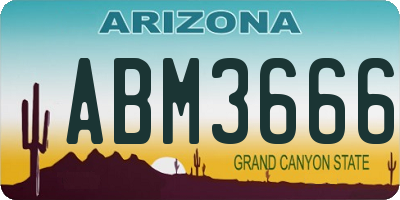 AZ license plate ABM3666