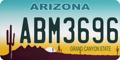 AZ license plate ABM3696