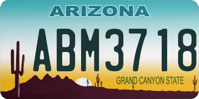 AZ license plate ABM3718