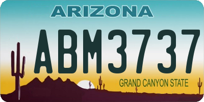 AZ license plate ABM3737