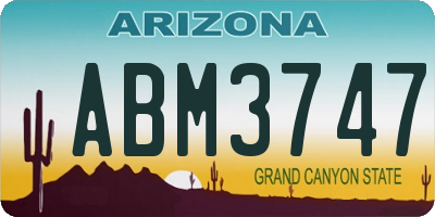AZ license plate ABM3747